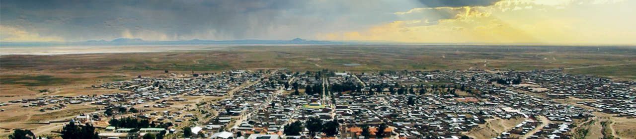 Banner 2
